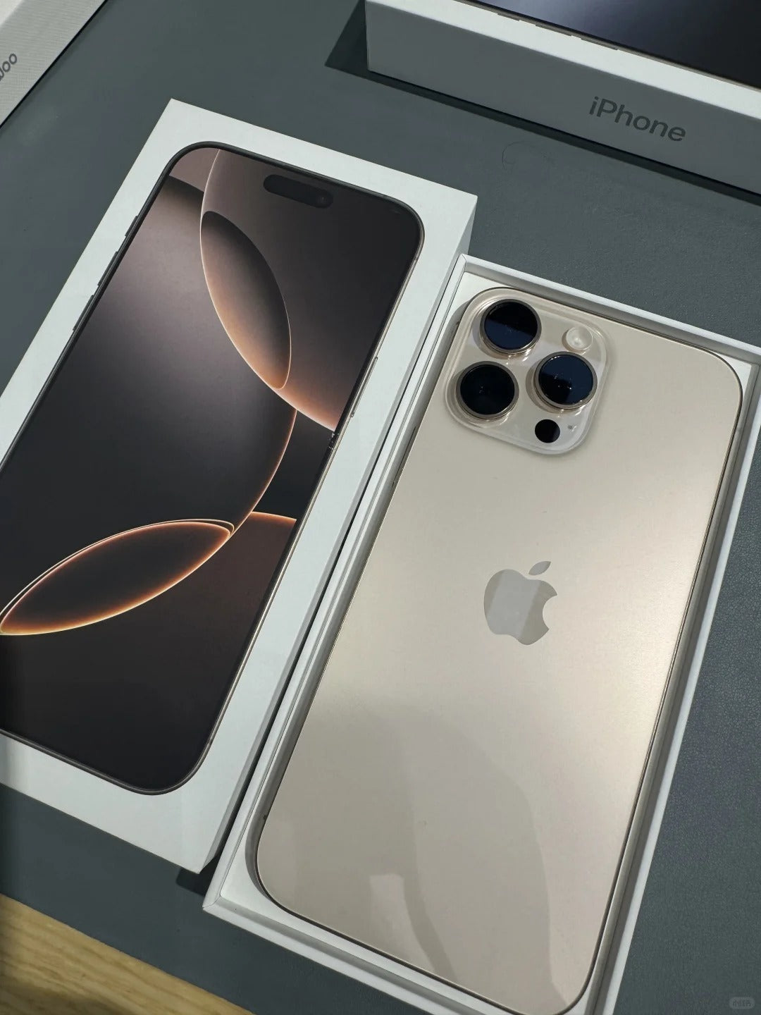 iPhone 16 Plus